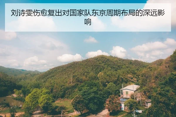 刘诗雯伤愈复出对国家队东京周期布局的深远影响